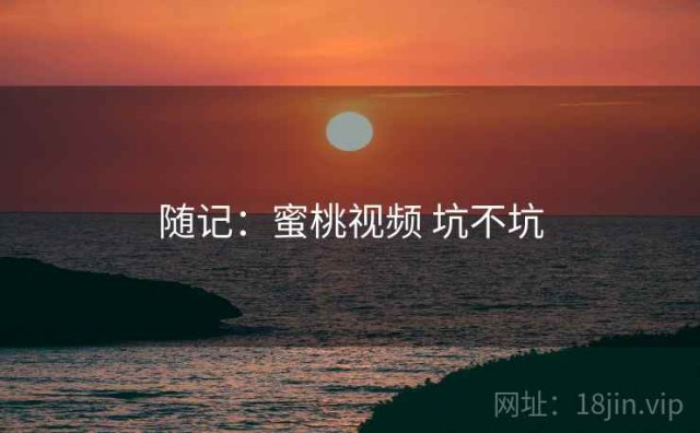 随记：蜜桃视频 坑不坑