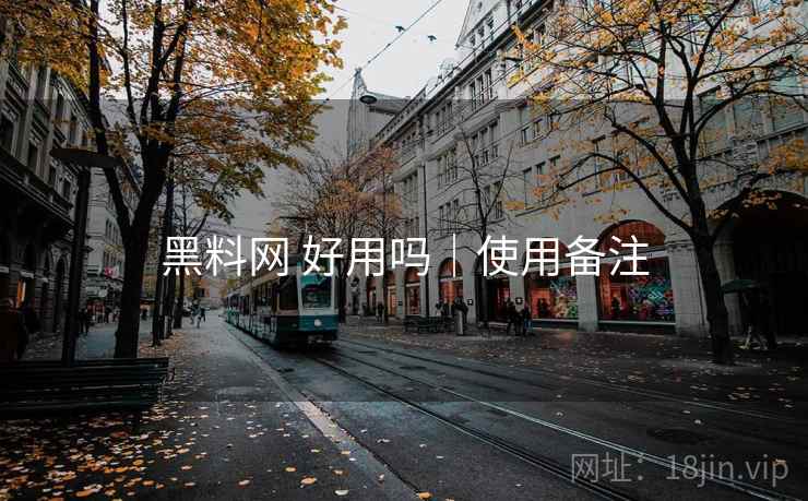 黑料网 好用吗｜使用备注