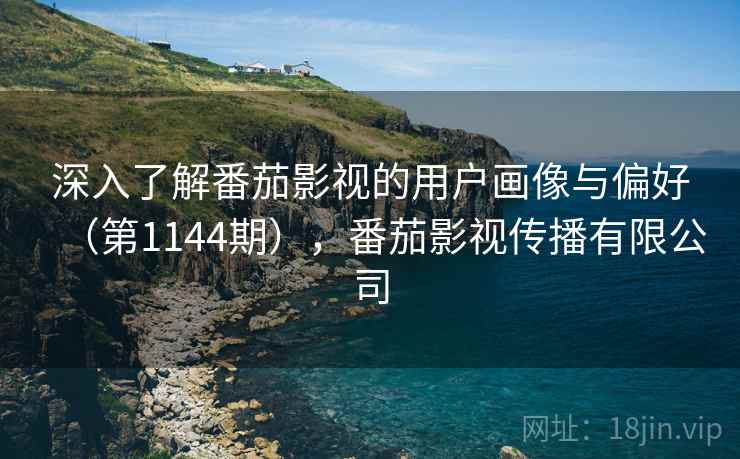 深入了解番茄影视的用户画像与偏好（第1144期），番茄影视传播有限公司